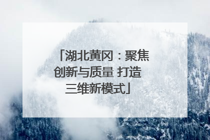 湖北黄冈：聚焦创新与质量 打造三维新模式