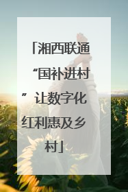 湘西联通“国补进村”让数字化红利惠及乡村