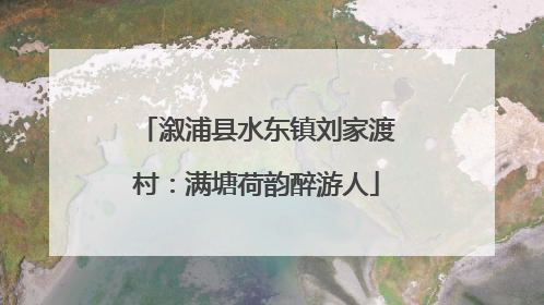 溆浦县水东镇刘家渡村：满塘荷韵醉游人