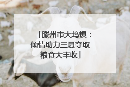 滕州市大坞镇：倾情助力三夏夺取粮食大丰收