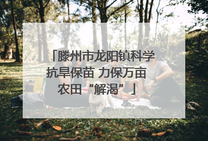 滕州市龙阳镇科学抗旱保苗 力保万亩农田“解渴”