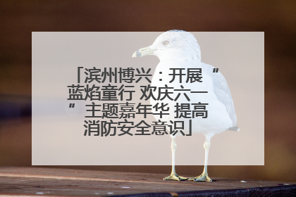 滨州博兴：开展“蓝焰童行 欢庆六一”主题嘉年华 提高消防安全意识