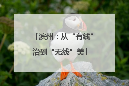 滨州：从“有线”治到“无线”美