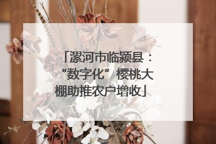 漯河市临颍县：“数字化”樱桃大棚助推农户增收