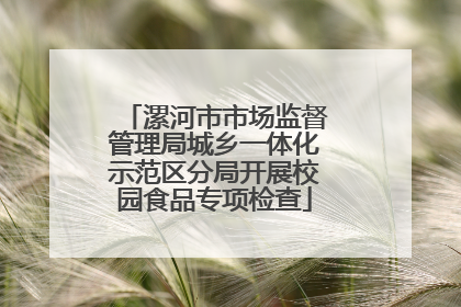 漯河市市场监督管理局城乡一体化示范区分局开展校园食品专项检查