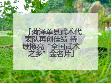 菏泽单县武术代表队再创佳绩 持续擦亮“全国武术之乡”金名片