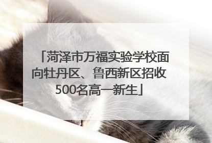 菏泽市万福实验学校面向牡丹区、鲁西新区招收500名高一新生