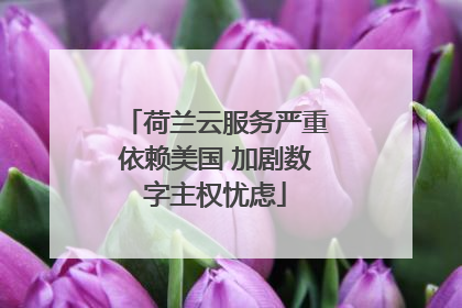 荷兰云服务严重依赖美国 加剧数字主权忧虑