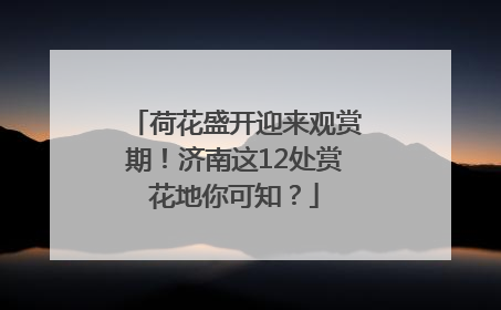 荷花盛开迎来观赏期！济南这12处赏花地你可知？