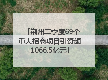 荆州二季度69个重大招商项目引资额1066.5亿元