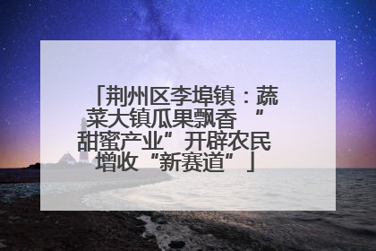 荆州区李埠镇：蔬菜大镇瓜果飘香 “甜蜜产业”开辟农民增收“新赛道”