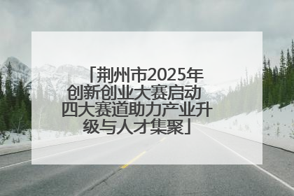 荆州市2025年创新创业大赛启动 四大赛道助力产业升级与人才集聚