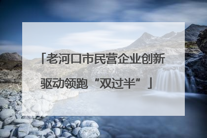 老河口市民营企业创新驱动领跑“双过半”