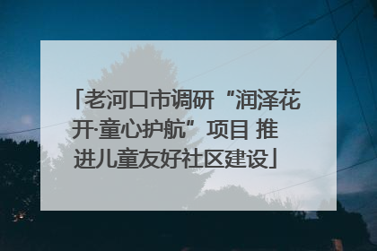 老河口市调研“润泽花开·童心护航”项目 推进儿童友好社区建设
