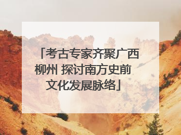 考古专家齐聚广西柳州 探讨南方史前文化发展脉络
