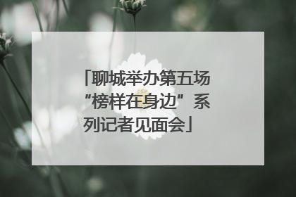 聊城举办第五场“榜样在身边”系列记者见面会