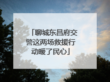 聊城东昌府交警这两场救援行动暖了民心