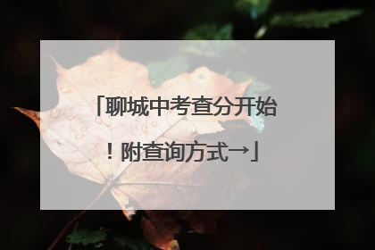 聊城中考查分开始！附查询方式→
