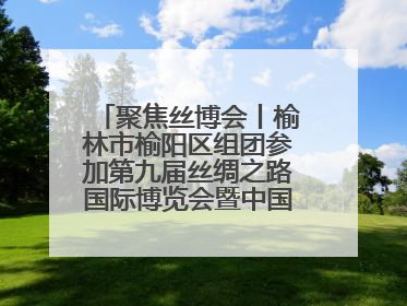 聚焦丝博会丨榆林市榆阳区组团参加第九届丝绸之路国际博览会暨中国东西部合作与投资贸易洽谈会