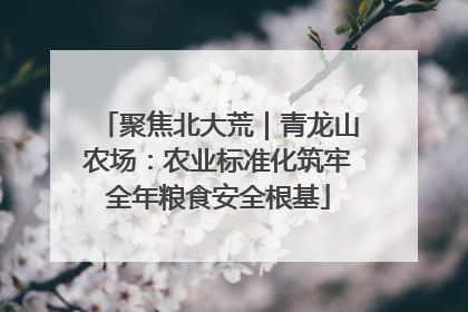 聚焦北大荒｜青龙山农场：农业标准化筑牢全年粮食安全根基