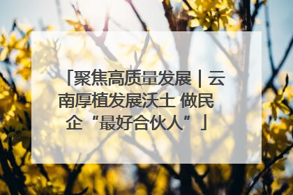 聚焦高质量发展｜云南厚植发展沃土 做民企“最好合伙人”