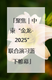 聚焦｜中柬“金龙-2025”联合演习落下帷幕
