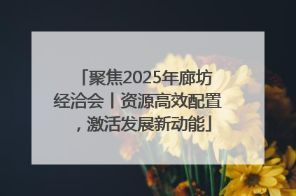 聚焦2025年廊坊经洽会丨资源高效配置，激活发展新动能