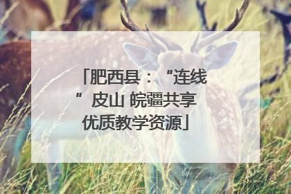 肥西县：“连线”皮山 皖疆共享优质教学资源