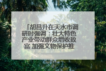 胡昌升在天水市调研时强调：壮大特色产业带动群众增收致富 加强文物保护推动文化创新发展