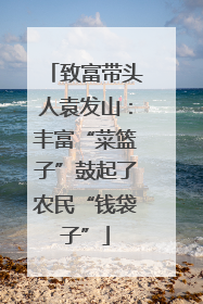 致富带头人袁发山：丰富“菜篮子”鼓起了农民“钱袋子”