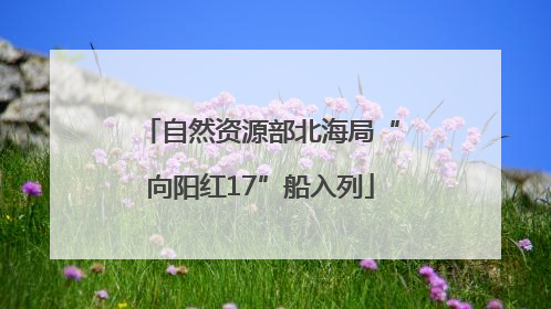 自然资源部北海局“向阳红17”船入列