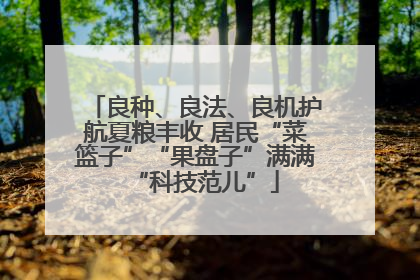 良种、良法、良机护航夏粮丰收 居民“菜篮子”“果盘子”满满“科技范儿”
