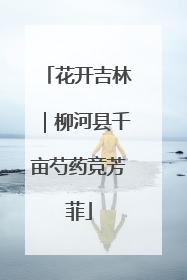 花开吉林｜柳河县千亩芍药竞芳菲