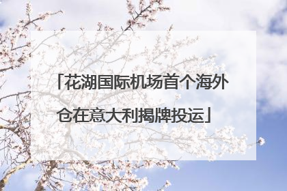 花湖国际机场首个海外仓在意大利揭牌投运