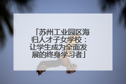 苏州工业园区海归人才子女学校：让学生成为全面发展的终身学习者