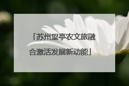 苏州望亭农文旅融合激活发展新动能