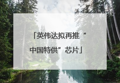 英伟达拟再推“中国特供”芯片