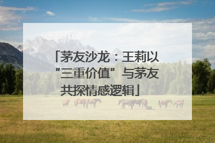 茅友沙龙：王莉以“三重价值”与茅友共探情感逻辑