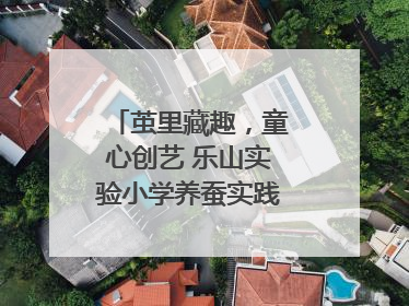 茧里藏趣，童心创艺 乐山实验小学养蚕实践绘就成长画卷
