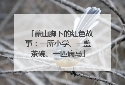 蒙山脚下的红色故事：一所小学、一盏茶碗、一匹病马
