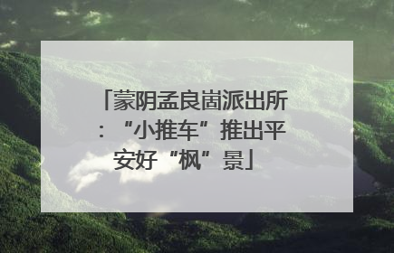 蒙阴孟良崮派出所：“小推车”推出平安好“枫”景