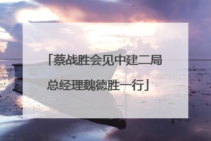 蔡战胜会见中建二局总经理魏德胜一行