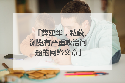 薛建华，私藏、浏览有严重政治问题的网络文章