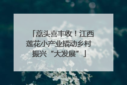 藠头喜丰收！江西莲花小产业撬动乡村振兴“大发展”