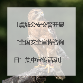虞城公安交警开展“全国安全宣传咨询日”集中宣传活动