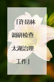 许昆林调研检查太湖治理工作