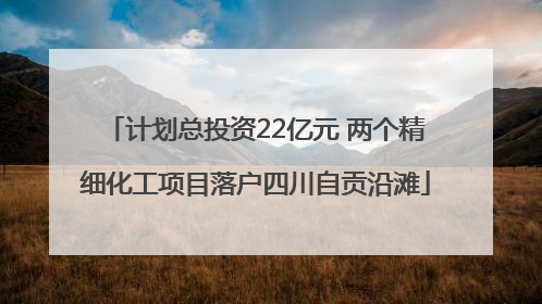 计划总投资22亿元 两个精细化工项目落户四川自贡沿滩