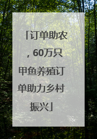 订单助农，60万只甲鱼养殖订单助力乡村振兴