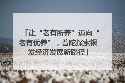 让“老有所养”迈向“老有优养”，普陀探索银发经济发展新路径