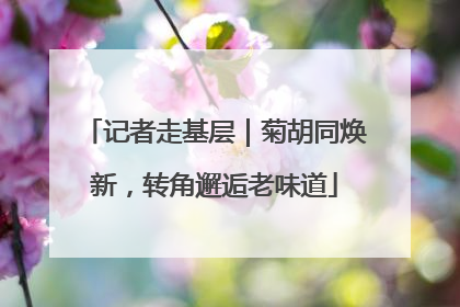 记者走基层｜菊胡同焕新，转角邂逅老味道